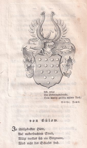 1.3 Schildsagen Bülow